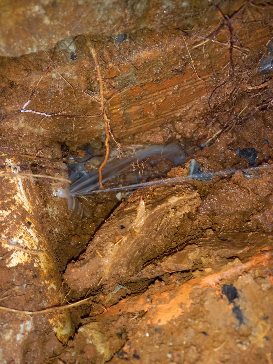WhatsApp Image 2022-08-18 at 18.23.59